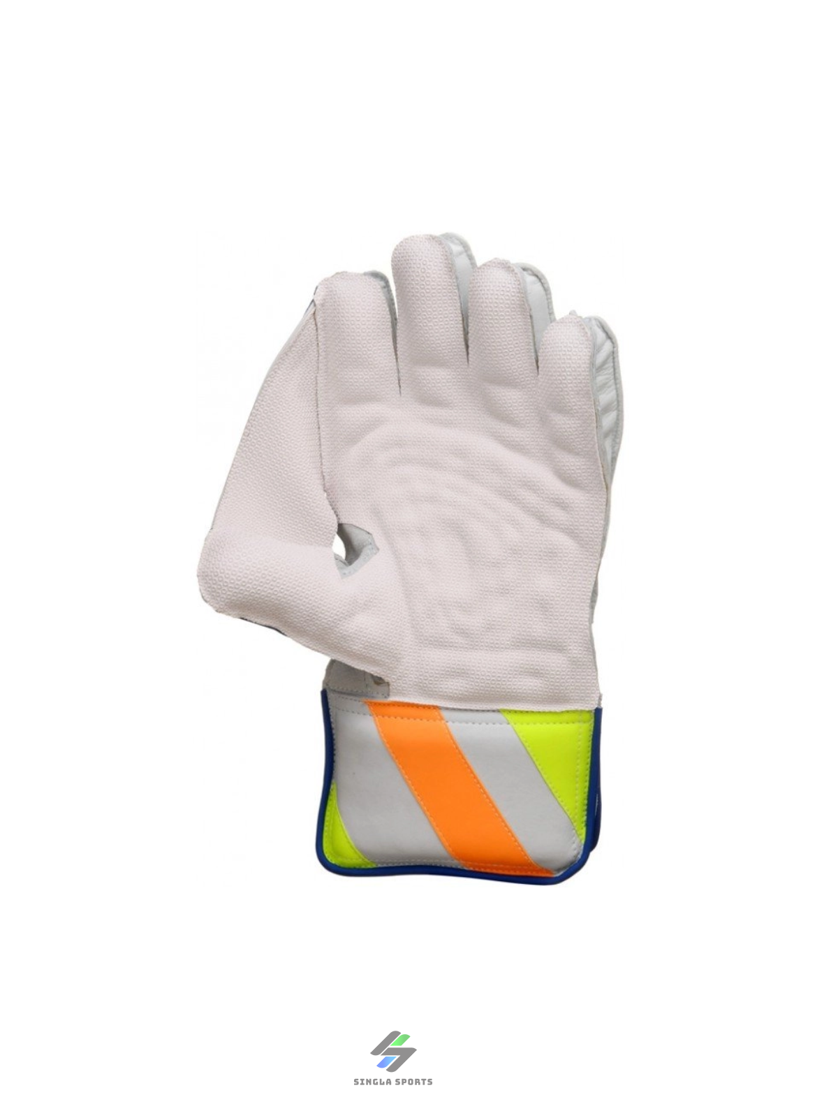 SG R 17 Wicket Keeping Gloves (Multi-Color) W.K. Gloves